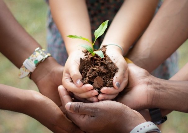 Environmental Stewardship